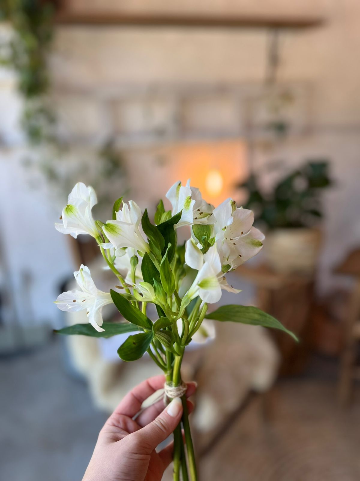 Momentos Olivaz — gal_ajax_20250908165941_5.jpeg