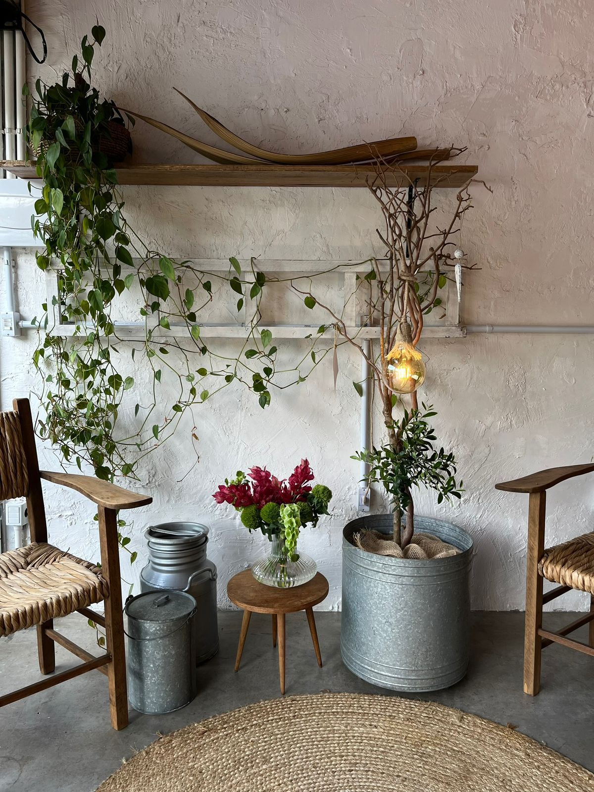 Momentos Olivaz — gal_ajax_20250908165941_9.jpeg